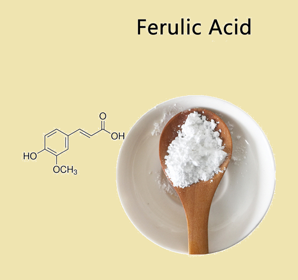 1135-24-6 Ferulic AcidAntithromboticmechanismsside effects