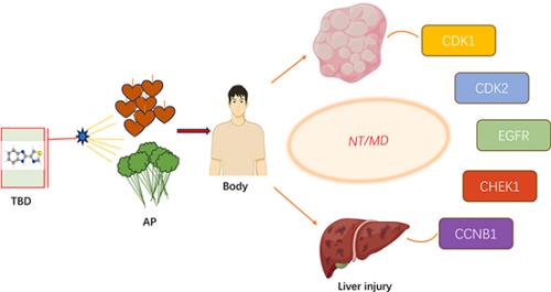 the mechanisms of toxicity of agricultural chemical Thiabendazole.png