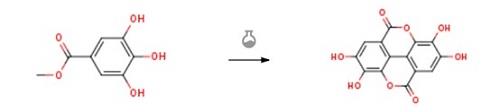 chemical synthesis of Ellagic acid.png.jpg