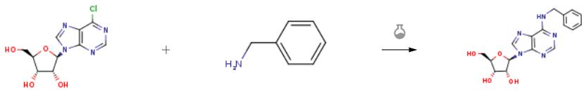 6-苄基腺苷的合成.png