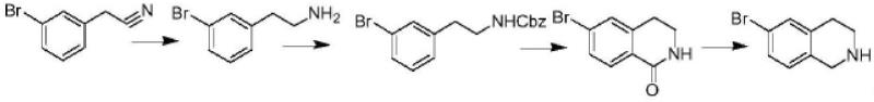 6-溴-1,2,3,4-四氢异喹啉的合成.png