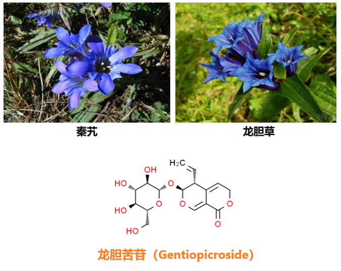 龙胆苦苷