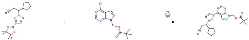 (4-氯-7H-吡咯并[2,3-D]嘧啶-7-基)甲基特戊酸酯的合成应用2.png