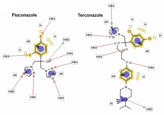 67915-31-5 mechanismantifungaldrugs