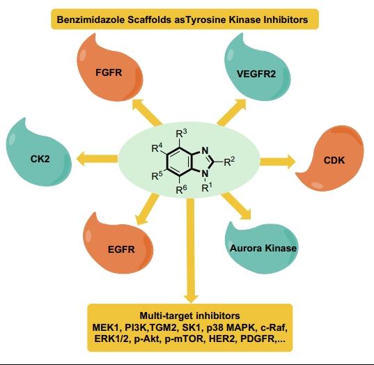 FIGURE 1 Benzimidazole scaffoldsas tyrosine kinase inhibitors .png