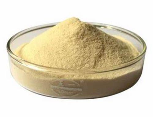9025-49-4 ProteaseDigestionTherapeutics