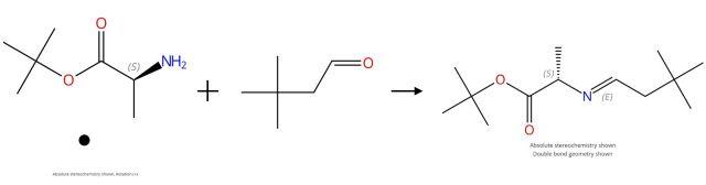 (S)-2-[3,3-二甲基丁基(E)-亚氨基]丙酸叔丁酯制备示意图.jpg
