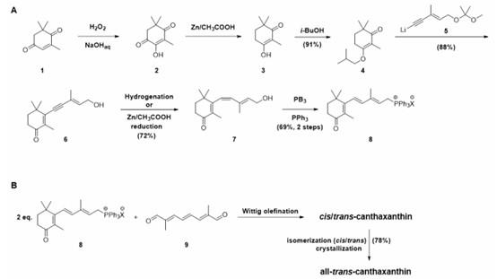 Synthetic route of Canthaxanthin Article illustration