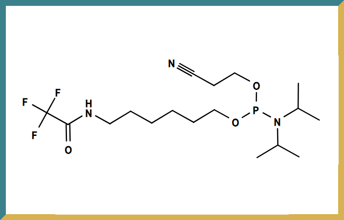 新研博美TFA-Amino C6 Modifier.jpg