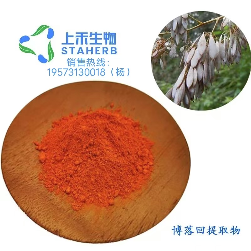 博落回.jpg 博落回.jpg