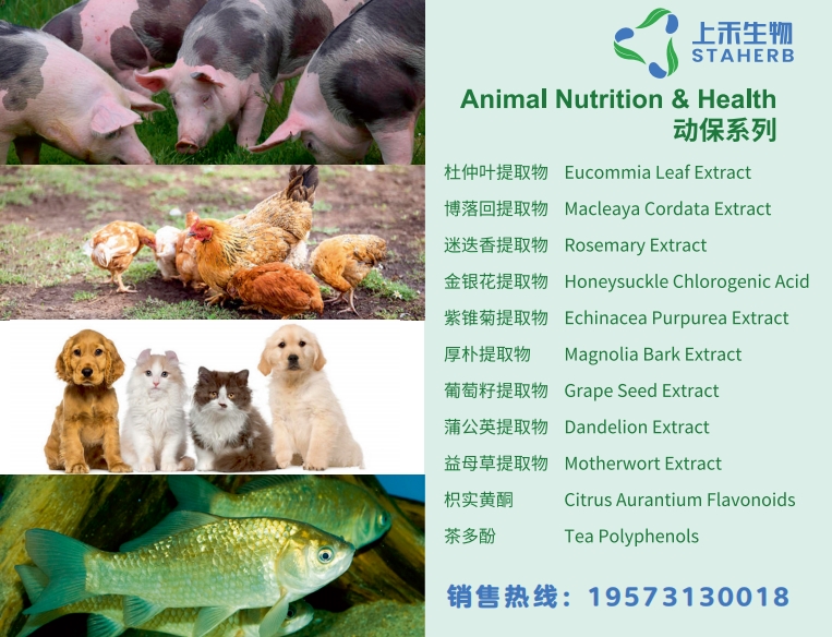 动保系列.png 动保系列.png