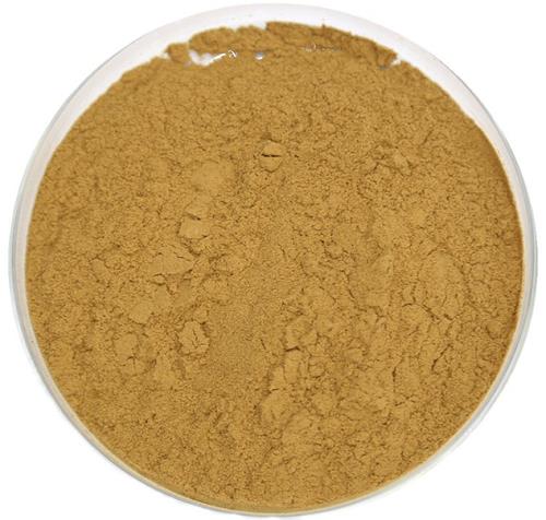 2835-95-2 5-Amino-o-cresolmetabolite detectiontoxicity assessment