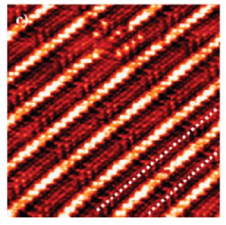 629-04-9 1-Bromoheptanesurface adsorptionself-assemblyphotodissociationglutathionemonolayer structure