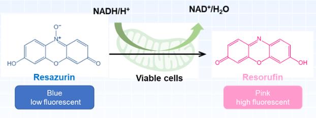 刃天青的氧化还原反应 刃天青的氧化还原反应