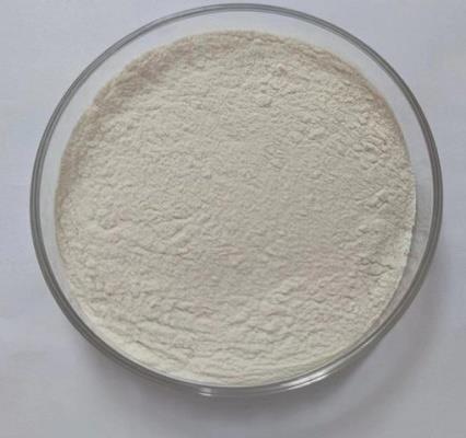 1,3-二均三甲苯基咪唑-2-叉的应用与研究