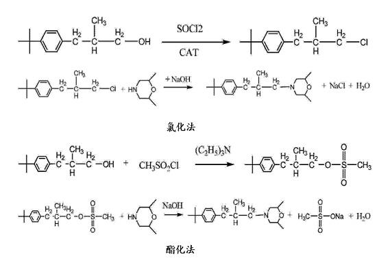 丁苯吗啉的合成方法示意图.png