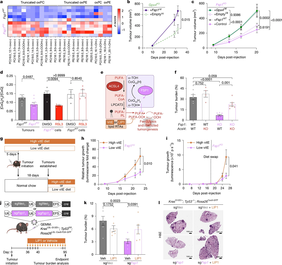 3 - 副本.png 3 - 副本.png