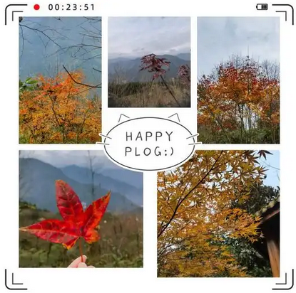 图片.png 图片.png