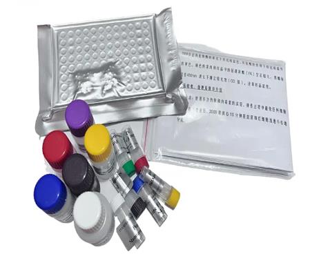 人前列环素(PGI)Elisa试剂盒的检测原理以及相关应用