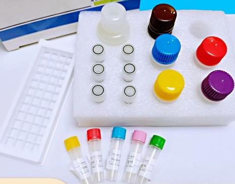 人成熟促进因子(MPF)Elisa试剂盒的应用信息