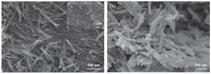 图2 单油酸甘油酯改性材料微观图.png