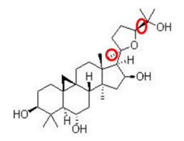 Cycloastragenol