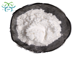 Hydrolyzed rice protein