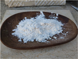 Hydrolyzed rice protein