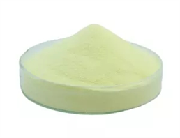 Retinyl palmitate