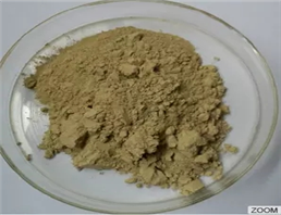 Ursolic Acid