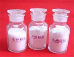 Camphor