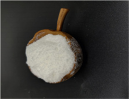 Carbasalate calcium