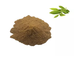 tea polyphenol