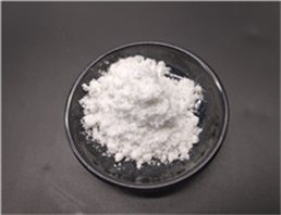 Sodium Stearyl Fumarate