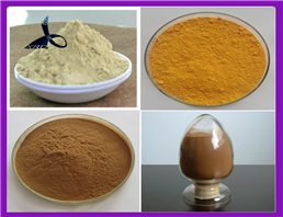 High Quality Calcium Pantothenate Vitamin