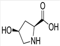 trans-4-Hydroxy-D-proline pictures
