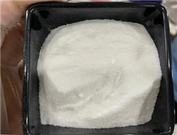 N-Methyltyramine Powder