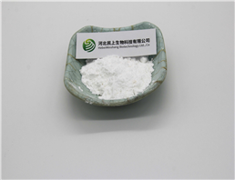 Aminolevulinic acid