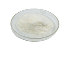 Hydrolyzed Silk Protein