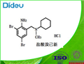 Bromhexime HCL USP/EP/BP pictures