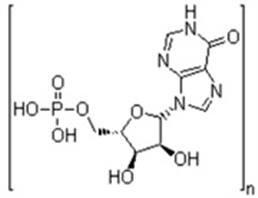 Polyinosinic acid (Poly I)