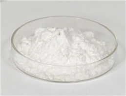 Citicoline