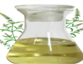 Chenopodium oil pictures