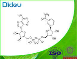 beta-Diphosphopyridine nucleotide USP/EP/BP