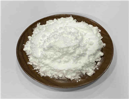 Praziquantel powder