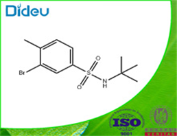 N-T-BUTYL 3-BROMO-4-METHYLBENZENESULFONAMIDE USP/EP/BP