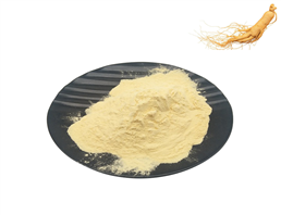 Ginseng Extract