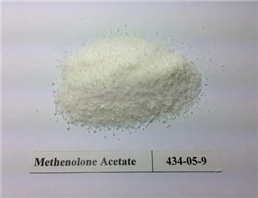 Methenolone Acetate/(Primobolan )