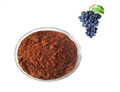 Grape Seed Extract pictures