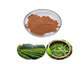 84650-60-2 Green Tea Extract Powder Tea Polyphenols 98%